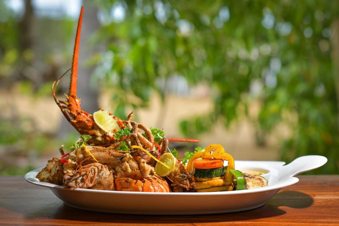 Hotel Kitesurfing Lanka Kalpitiya Zewnętrze zdjęcie